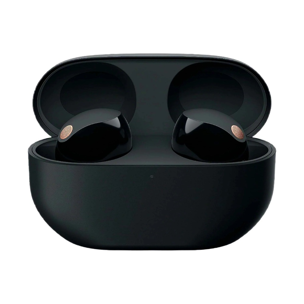 Беспроводные наушники Sony WF-1000XM5 (Black)