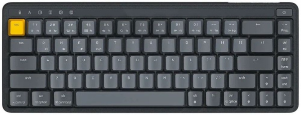 8gYb0rzcm5.jpg
