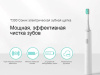 njmVeZW76u.jpg